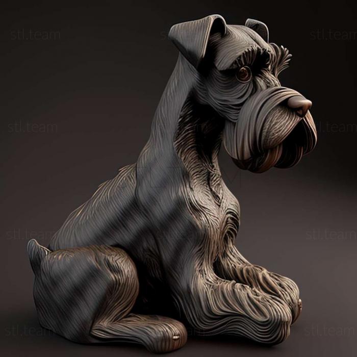 Zwergschnauzer dog